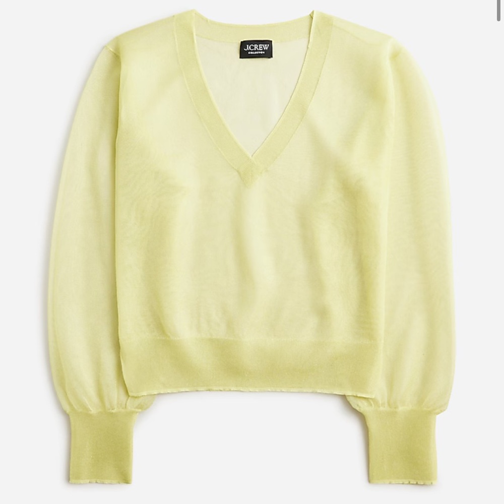 Collection sheer V-neck sweater NWT